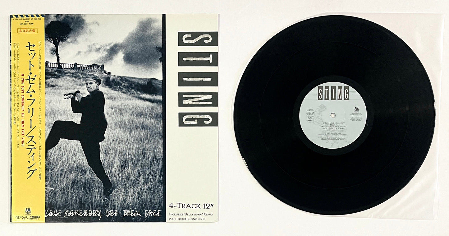 Sting - If You Love Somebody Set Them Free (12” Single)