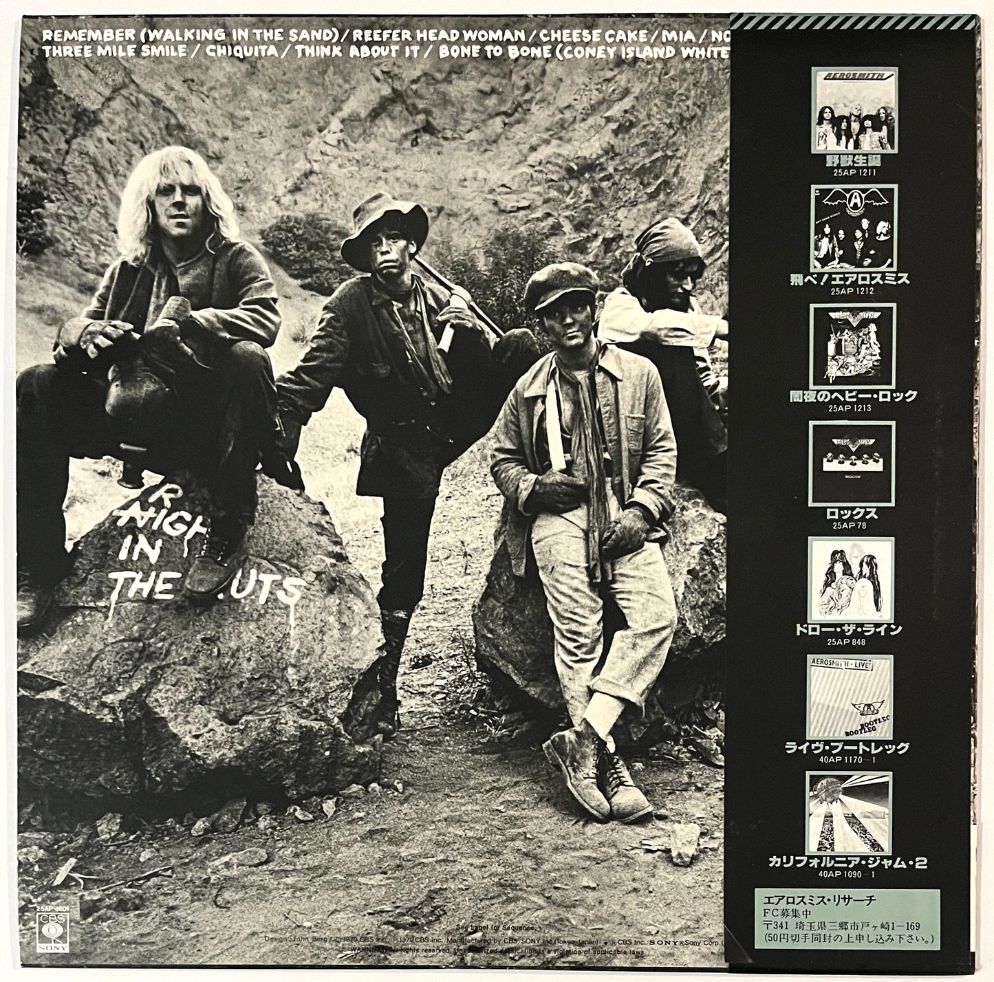 Aerosmith - Night In The Ruts