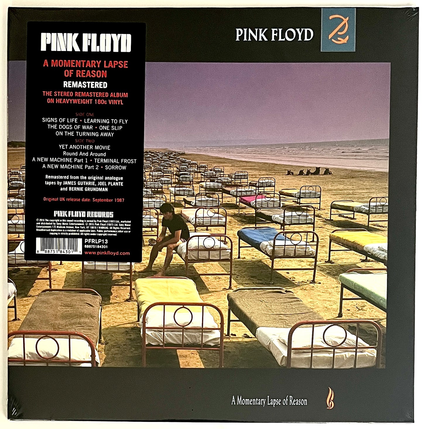 Pink Floyd - A Momentary Lapse Of Reason