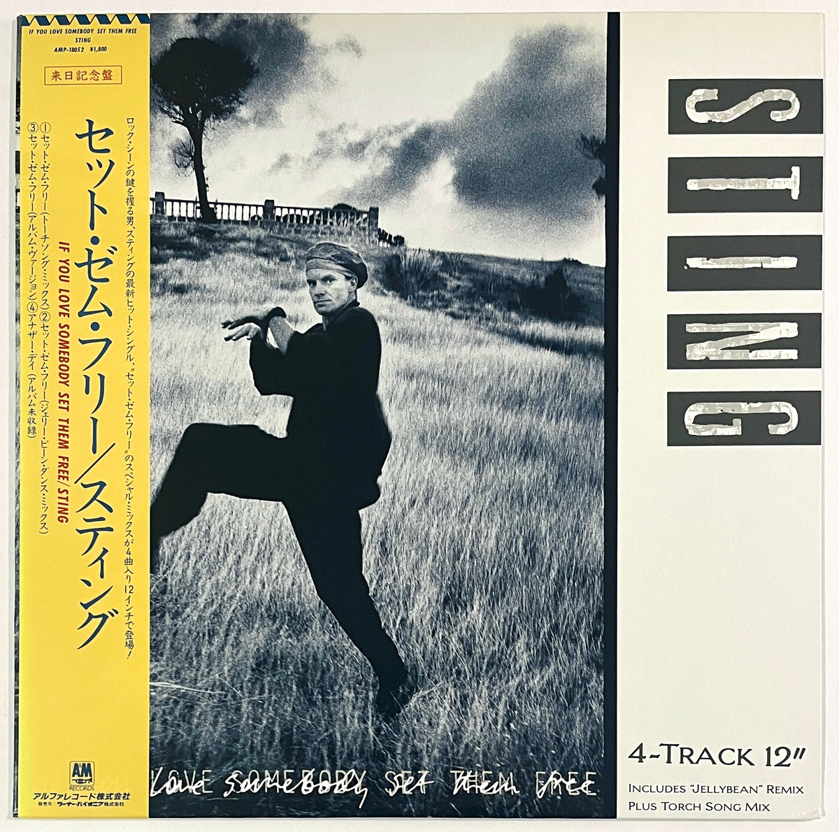 Sting - If You Love Somebody Set Them Free (12” Single)