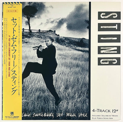 Sting - If You Love Somebody Set Them Free (12” Single)