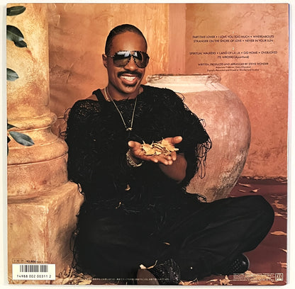 Stevie Wonder - In Square Circle