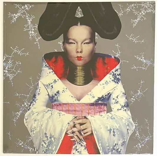 Björk - Homogenic